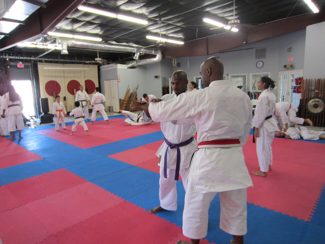 Photos The Karate Dojo 